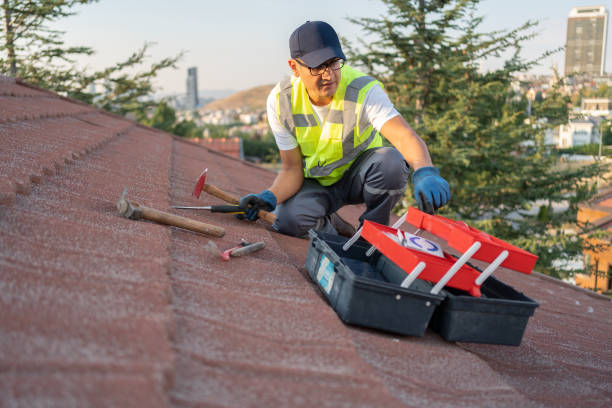 Best Historical Building Siding Restoration  in Coldstream, OH